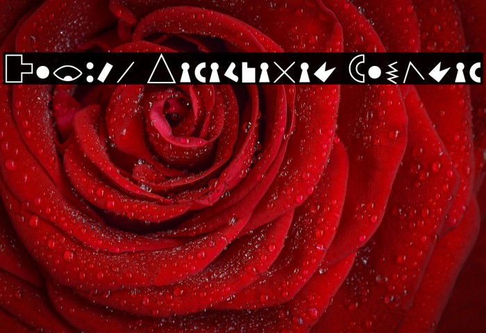 Petiso Carambanal Regular Example 2