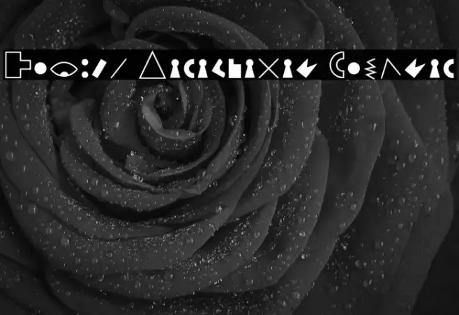 Petiso Carambanal Regular Polices examples