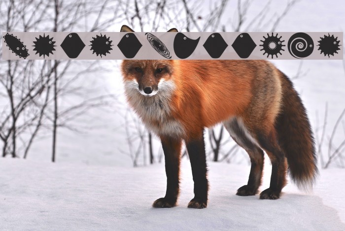 PetitButtoni Example 1