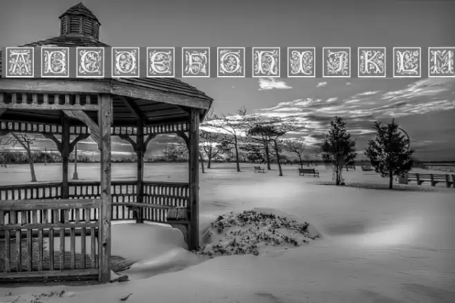 PetitFleurNormal Font examples