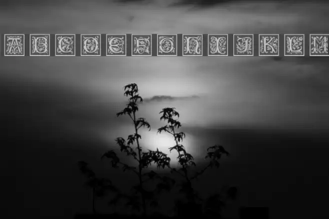 PetitFleurNormal Font examples