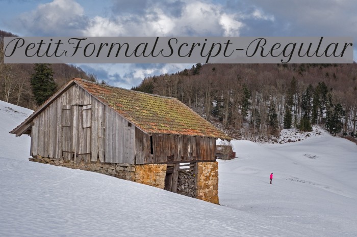 PetitFormalScript-Regular Font examples