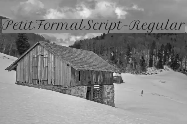 PetitFormalScript-Regular Schriftart examples