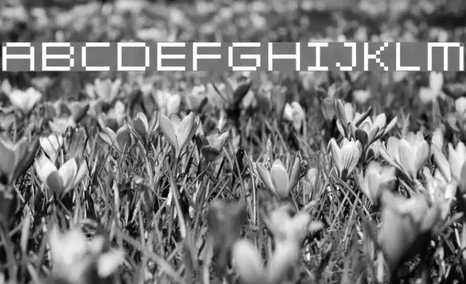 Petit Schriftart examples