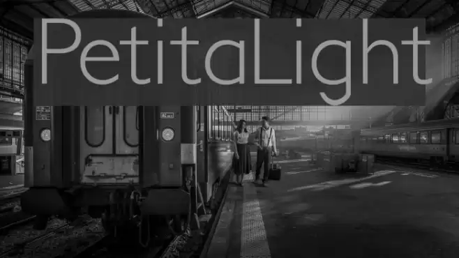 PetitaLight Шрифта examples