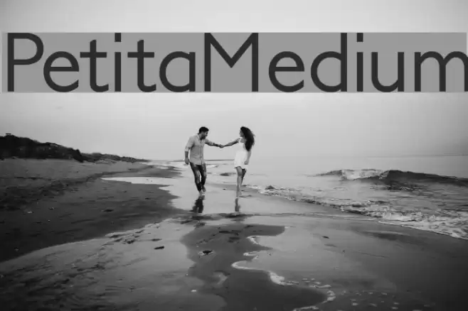 PetitaMedium Шрифта examples