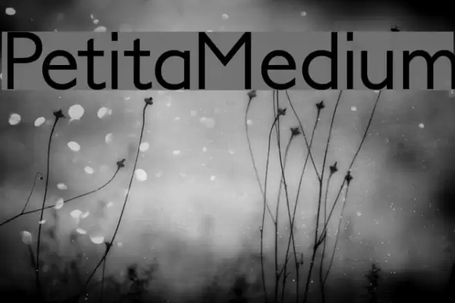 PetitaMedium Шрифта examples
