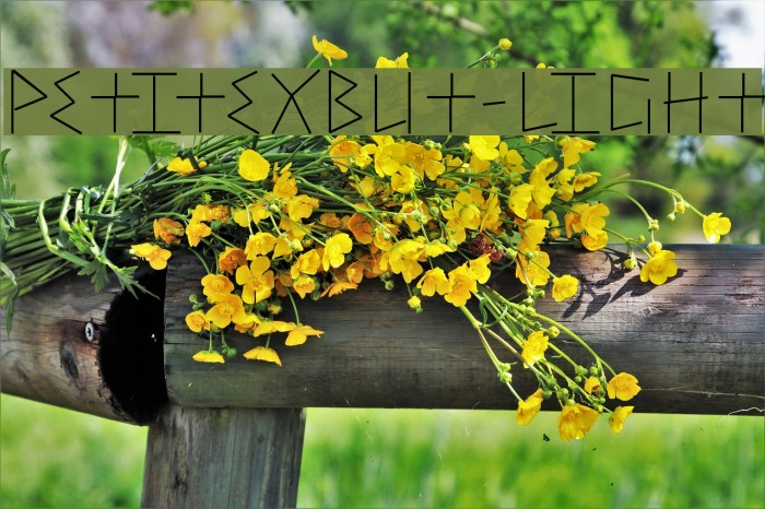 PetitexBut-Light Example 3