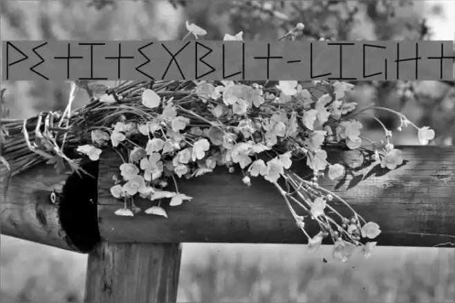 PetitexBut-Light Font examples