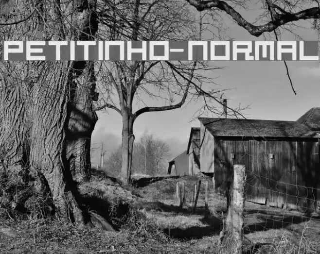 Petitinho-Normal Font examples