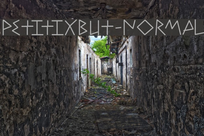 PetitixBut-Normal Font examples