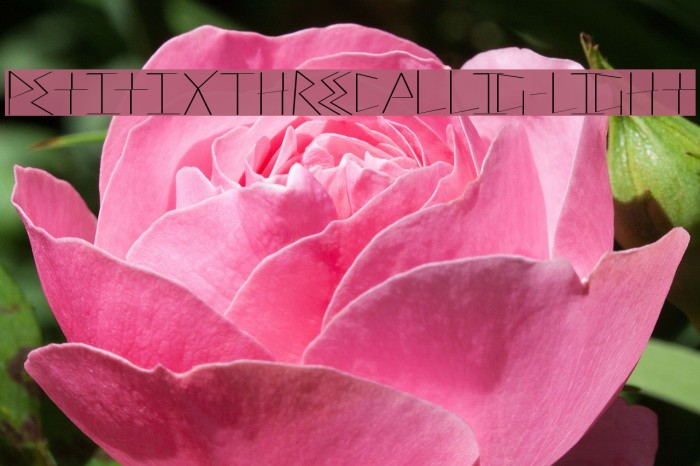 PetitixThreeCallig-Light Font examples