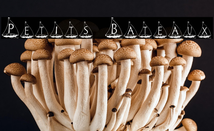 Petits Bateaux Example 2