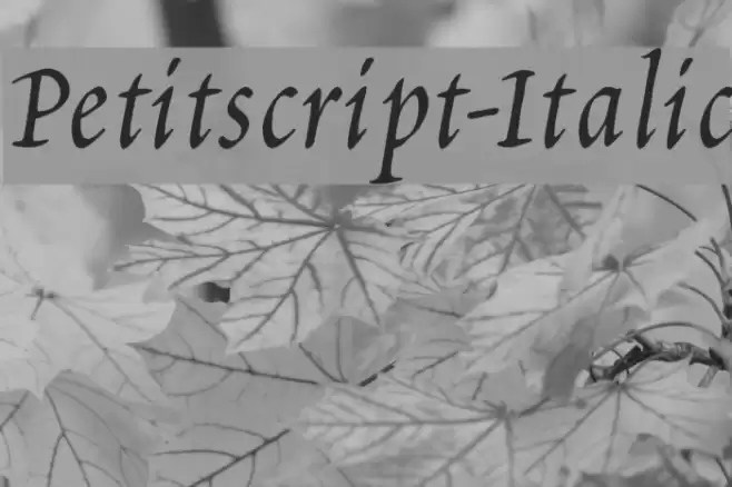 Petitscript-Italic フォント examples