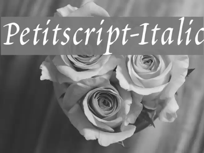 Petitscript-Italic フォント examples