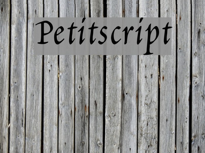 Petitscript フォント examples