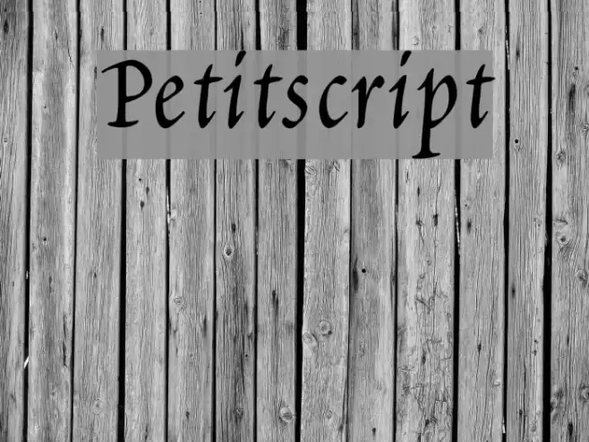 Petitscript フォント examples