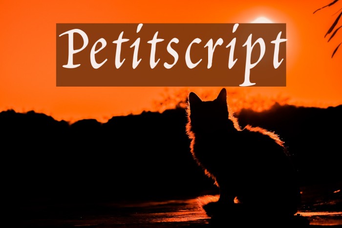 Petitscript フォント examples
