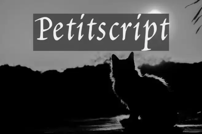 Petitscript フォント examples