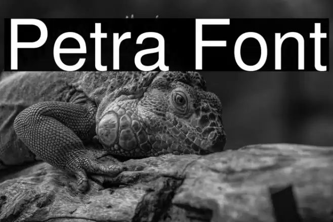 Petra Font examples