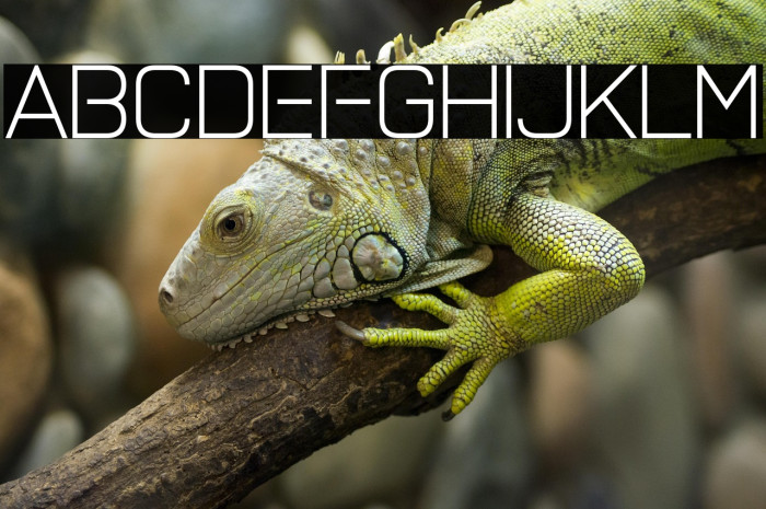 Petrichor Sublimey Example 2