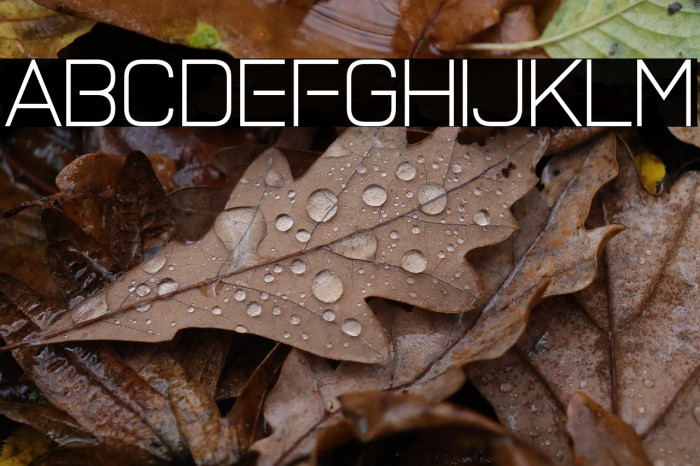 Petrichor Sublimey Example 3