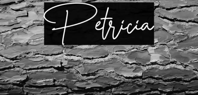 Petricia Font examples
