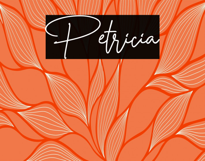 Petricia Example 2