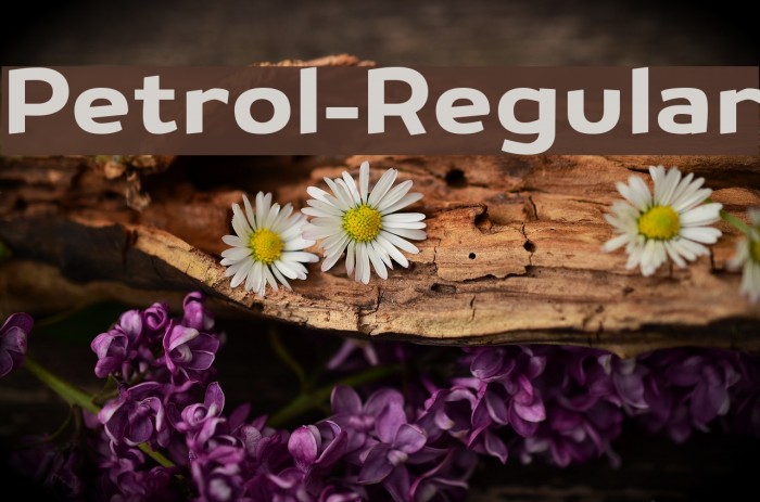Petrol-Regular Font examples