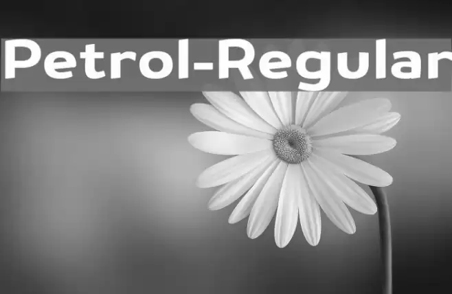 Petrol-Regular Font examples