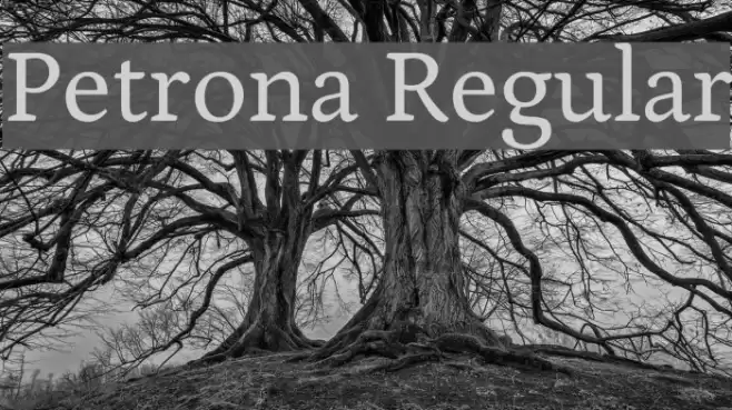 Petrona Regular Font examples