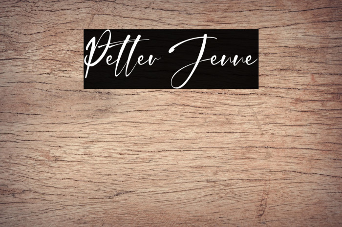 Petter Jenne Example 1