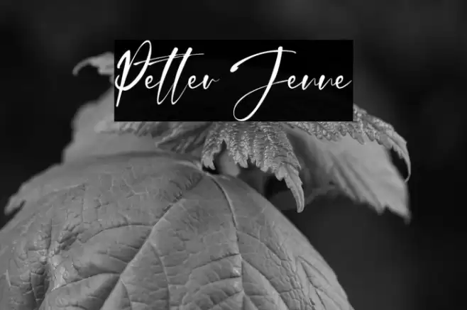 Petter Jenne Polices examples