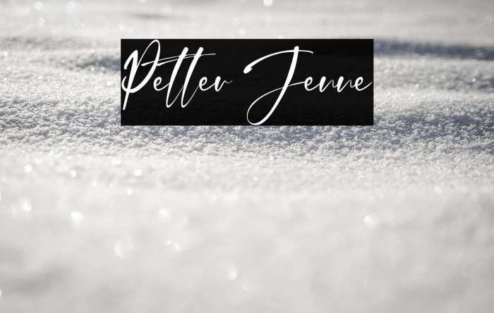 Petter Jenne Example 3