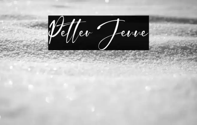 Petter Jenne Polices examples