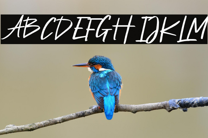 Petter Secret Demo Version Example 2