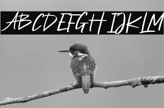 Petter Secret Demo Version Font examples