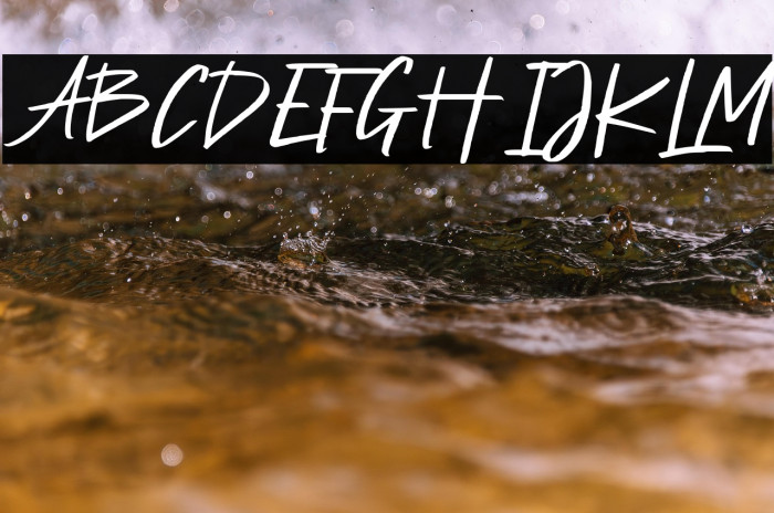 Petter Secret Demo Version Example 3