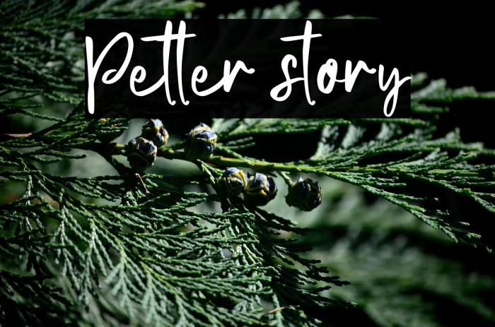 Petter story Example 2