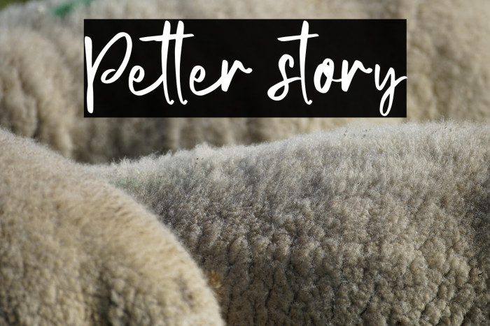 Petter story Example 3