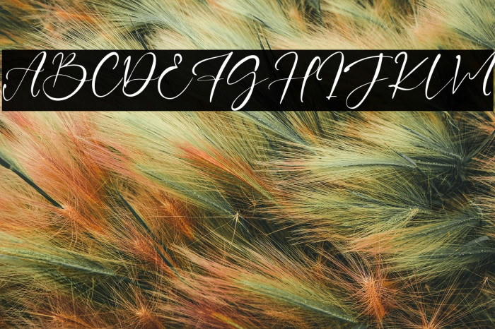 PetterJenne Example 1