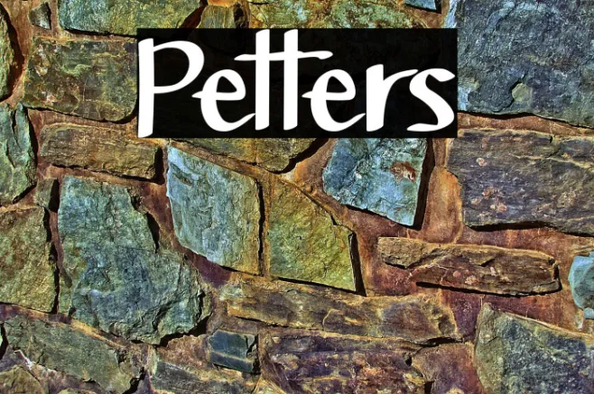 Petters Example 1