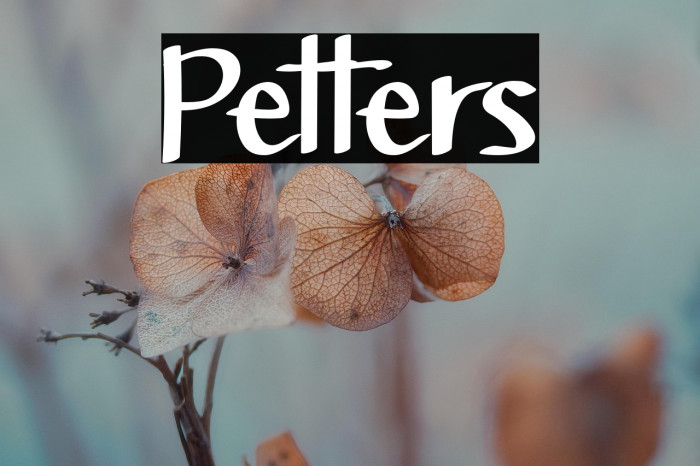 Petters Example 2