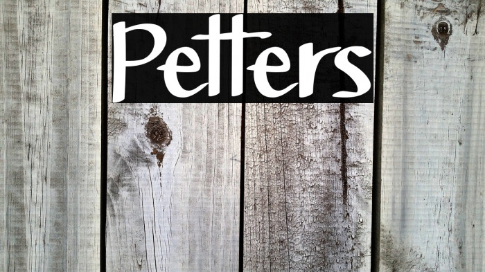 Petters Example 3