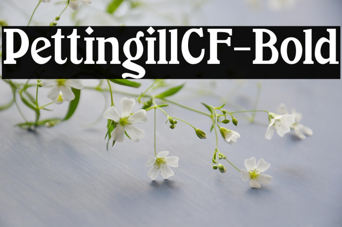PettingillCF-Bold Example 1