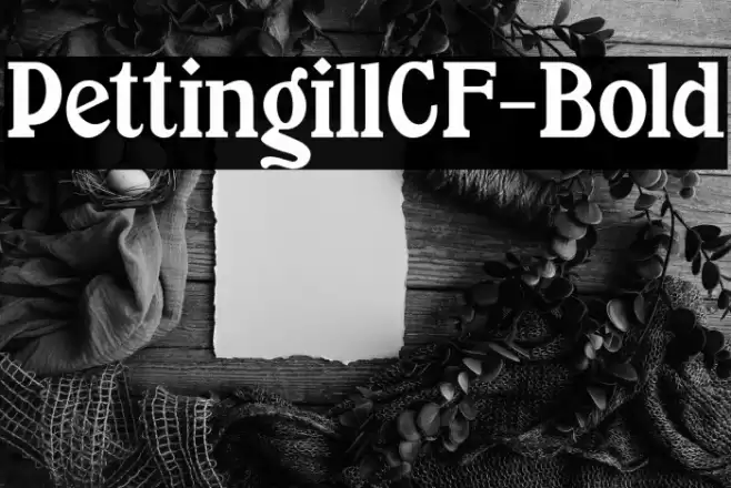 PettingillCF-Bold Font examples