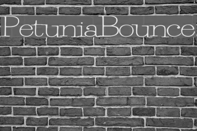 PetuniaBounce Font examples