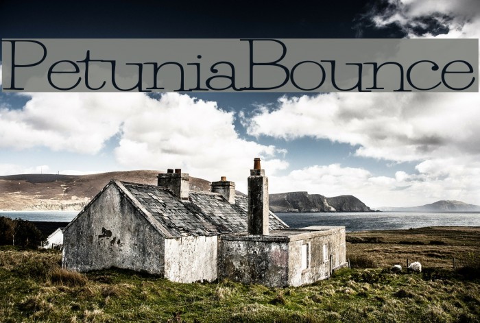 PetuniaBounce Font examples