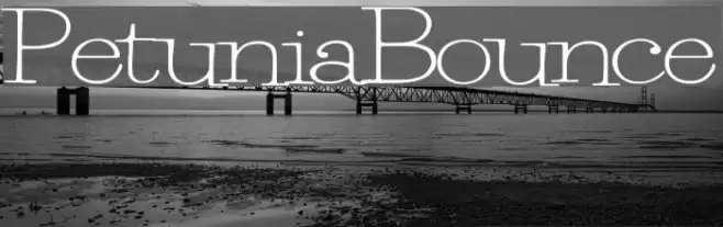 PetuniaBounce Font examples