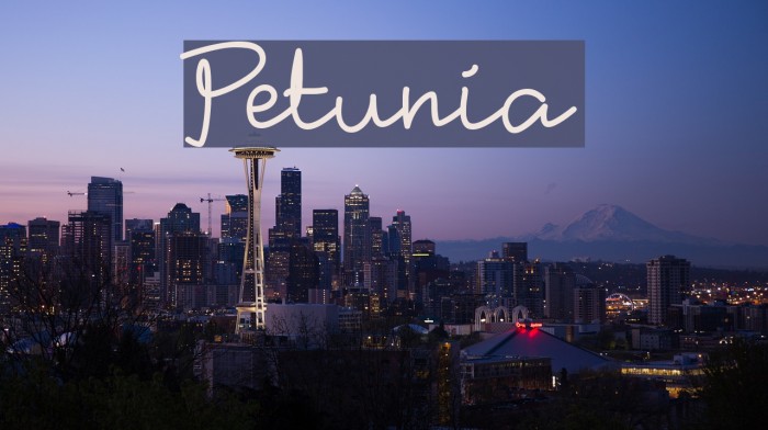 Petunia Font examples